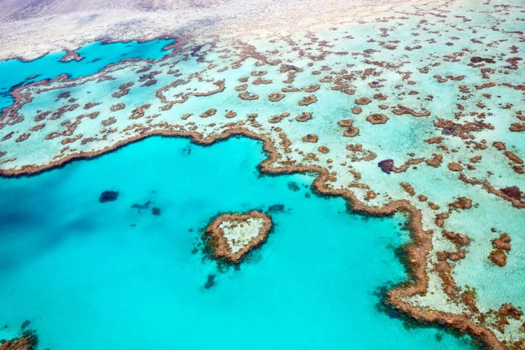 https://media.leisurecom.com/cruise/image-2025-11-27-20-06-31.webp