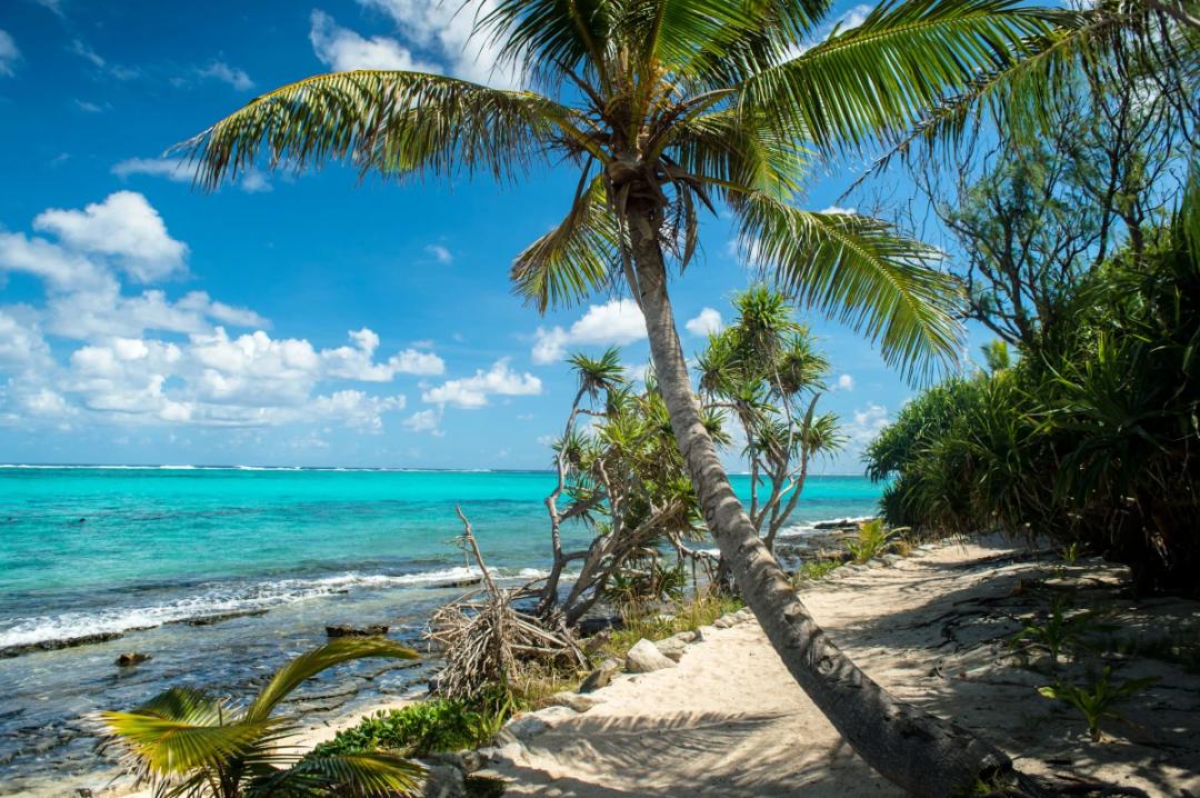 https://media.leisurecom.com/cruise/image-2026-03-23-17-17-17.webp