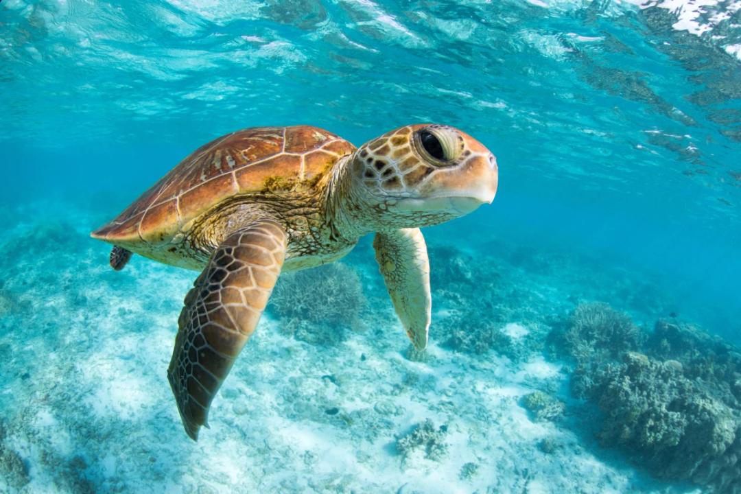 https://media.leisurecom.com/cruise/image-2026-08-31-10-22-55.webp