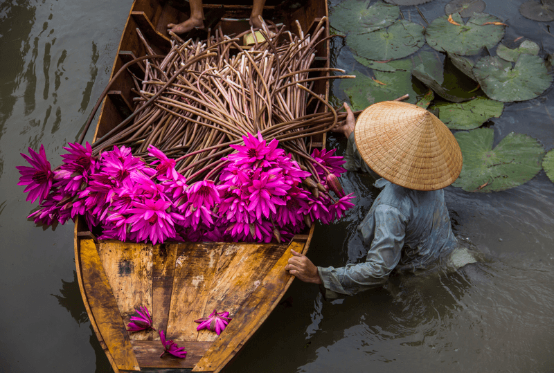Vietnam and Cambodia Highlights