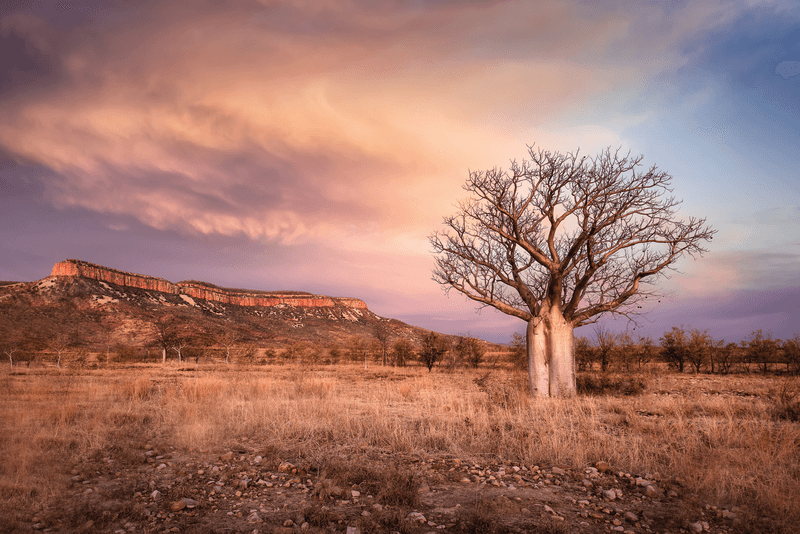 Essence of the Kimberley with Kimberley Coastal Expedition Cruise