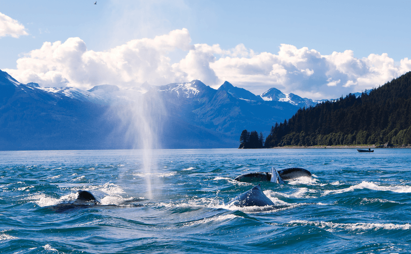 Natural Wonders of Alaska