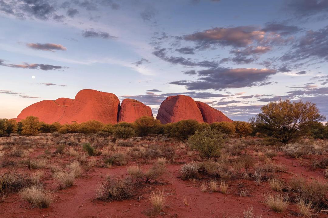 Central Australian Discovery