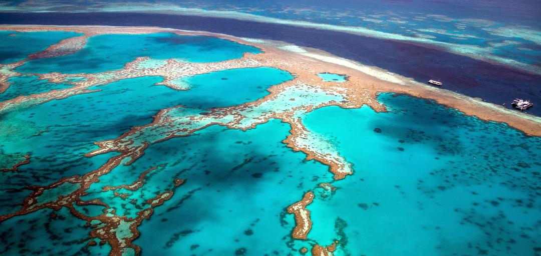 Great Barrier Reef Wonders