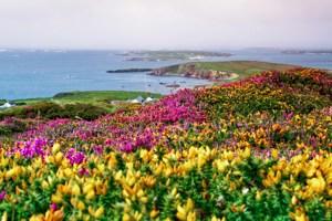Amazing Ireland