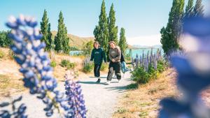 NZ: South Island