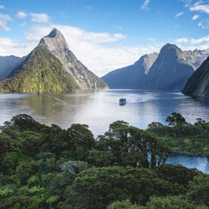 Untamed New Zealand - Small Group
