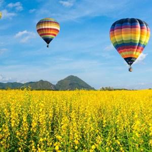 Colourful Trails of the Southwest