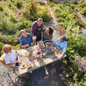 (TSHHL) Tasmania's Wild Wonders - Small Group