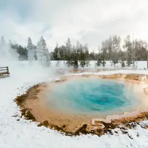 Yellowstone Winter Escape - Small Group