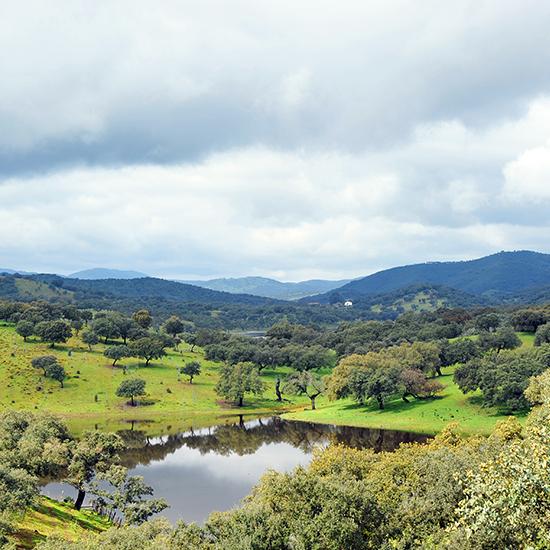 https://media.leisurecom.com/tour/tour-2026-09-27-23-36-48.jpg