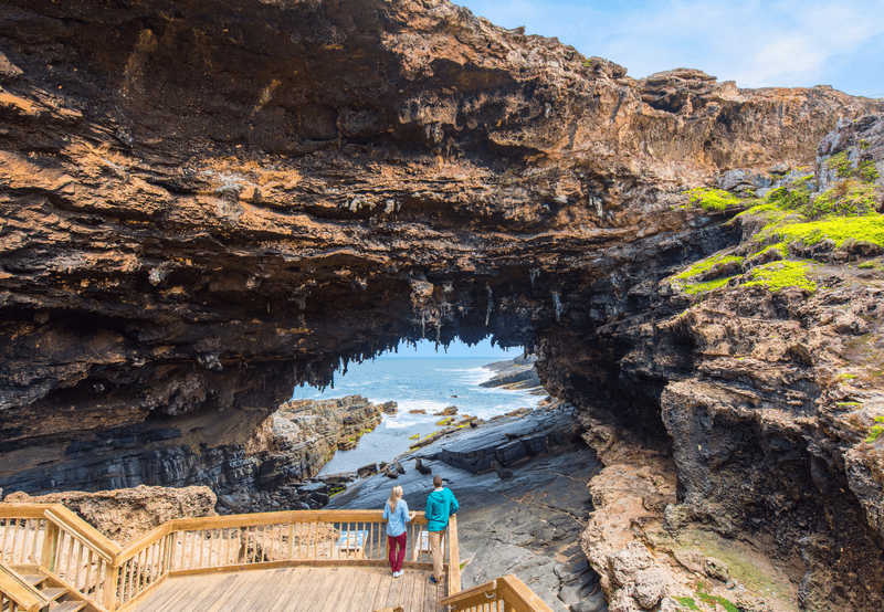 Kangaroo Island Discovery