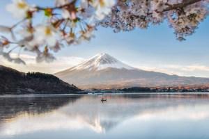Japan Discovery