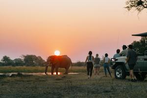 Best of Botswana & Victoria Falls