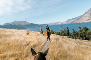 NZ: North & South Island