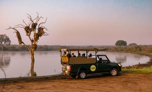 Cape Town, Safari & Victoria Falls