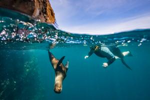Galapagos Island Hopping