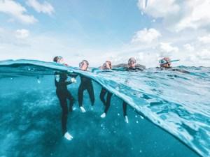 Snorkel & Dive: Great Barrier Reef