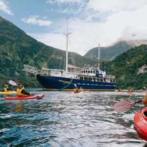 Wild New Zealand