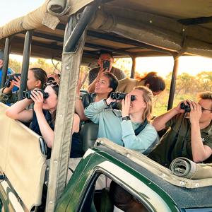 Southern Africa Safari