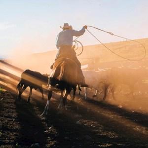 Western Frontiers