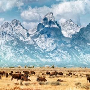 Five Epic National Parks