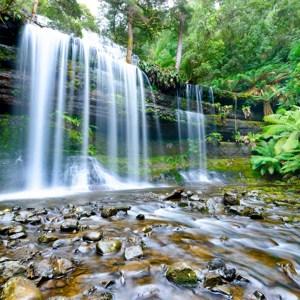 Perfect Tasmania